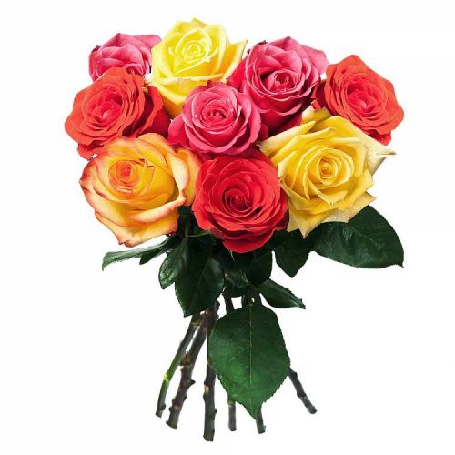 Заказать с доставкой 9 разноцветных роз по Ахтырскму